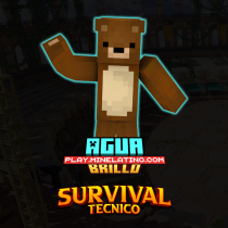 Brillo Agua Tecnico