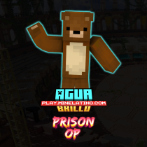 Brillo AGUA Prison